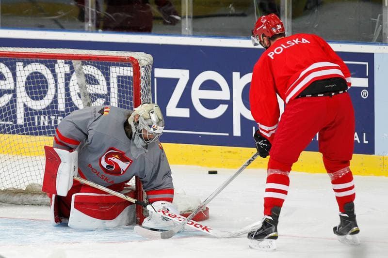 Ice Hockey. Poland national team. Training. 24.04.2016