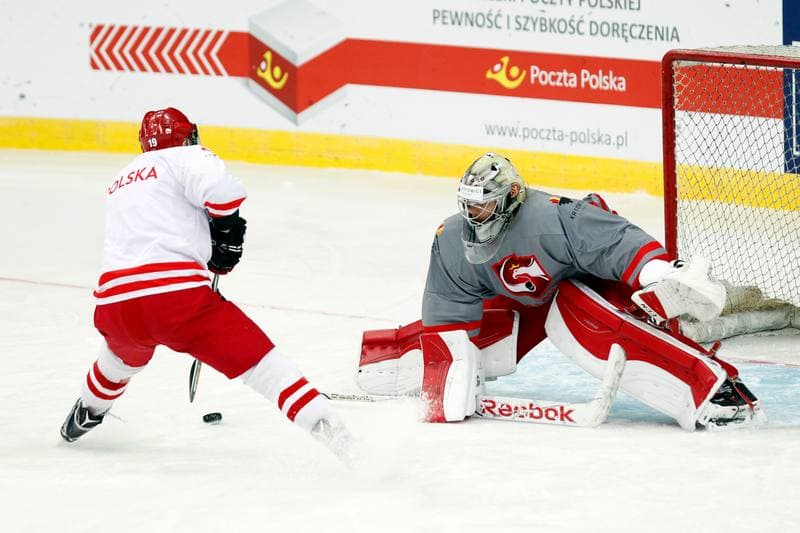 Ice Hockey. Poland national team. Training. 24.04.2016