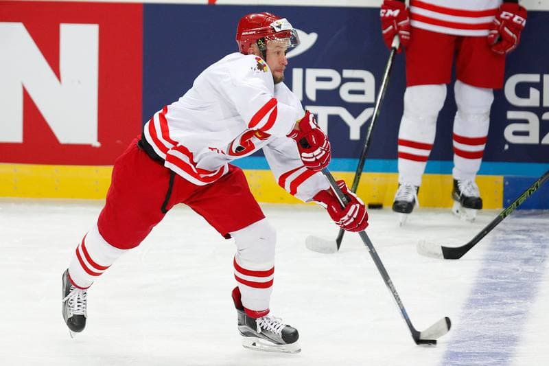 Ice Hockey. Poland national team. Training. 24.04.2016