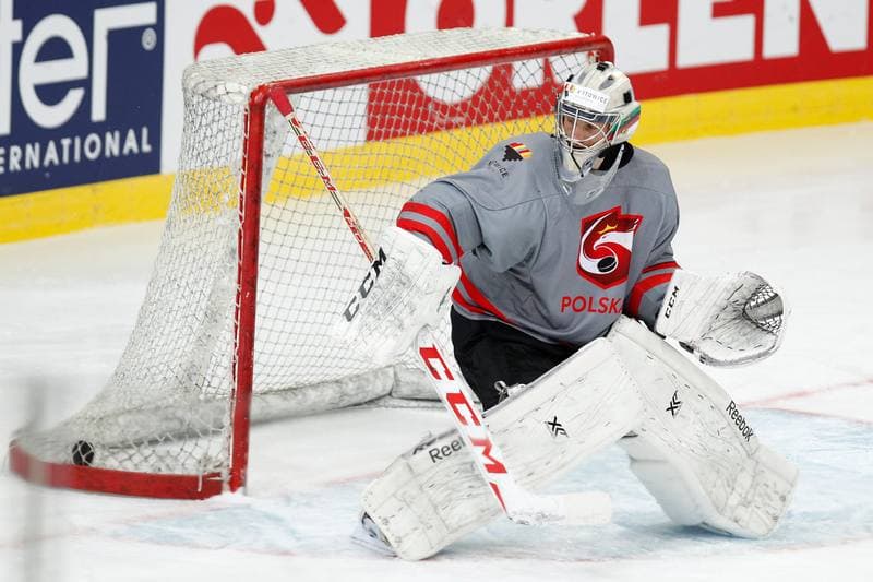 Ice Hockey. Poland national team. Training. 24.04.2016