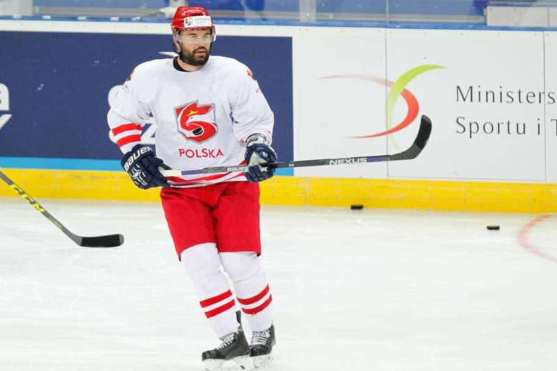 Ice Hockey. Poland national team. Training. 24.04.2016