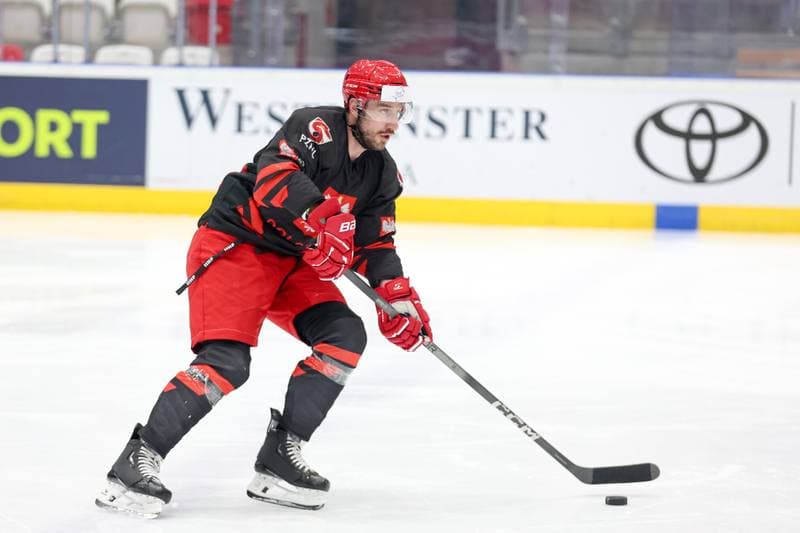 Ice Hockey. Poland national team. Training. 30.04.2024