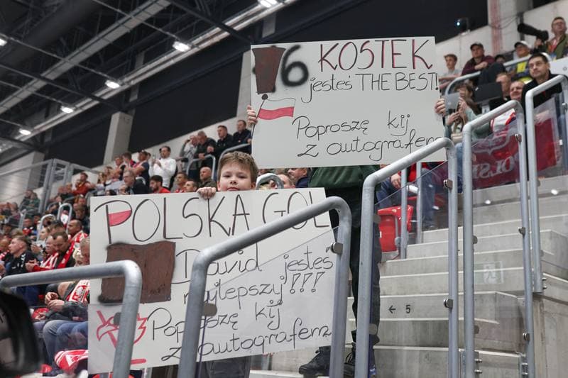 Ice Hockey. Friendly Match. Poland - Denmark. 07.05.2024