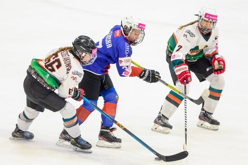 Ice Hockey. Tauron Liga Hokeja Kobiet. Kojotki Naprzod Janow - SMS Polonia Bytom. 09.09.2023