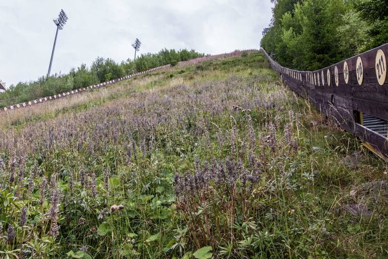 Ski Jumping. Certak. 01.08.2019
