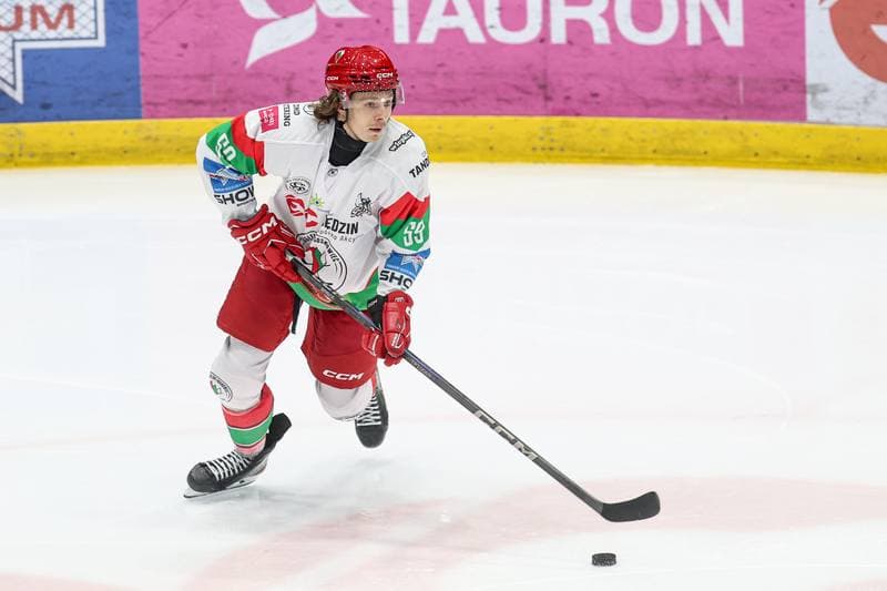 Ice Hockey. Tauron Hokej Liga. EC Bedzin Zaglebie Sosnowiec - KH Energa Torun. 19.01.2025