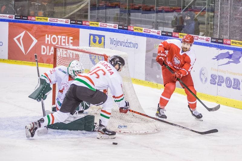 Ice Hockey. International Friendly. Poland - Hungary. 17.12.2020