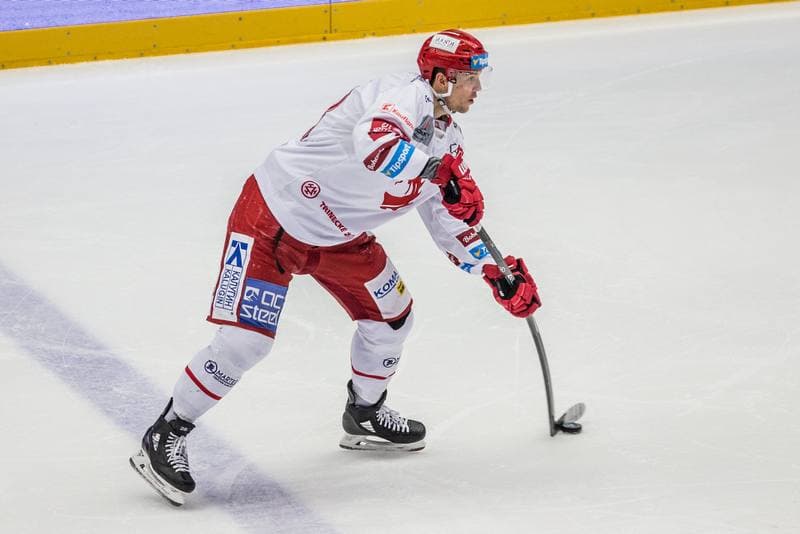 Ice Hockey. Tipsport Extraliga. Ocelari Trinec - Vitkovice Ridera. 21.11.2019