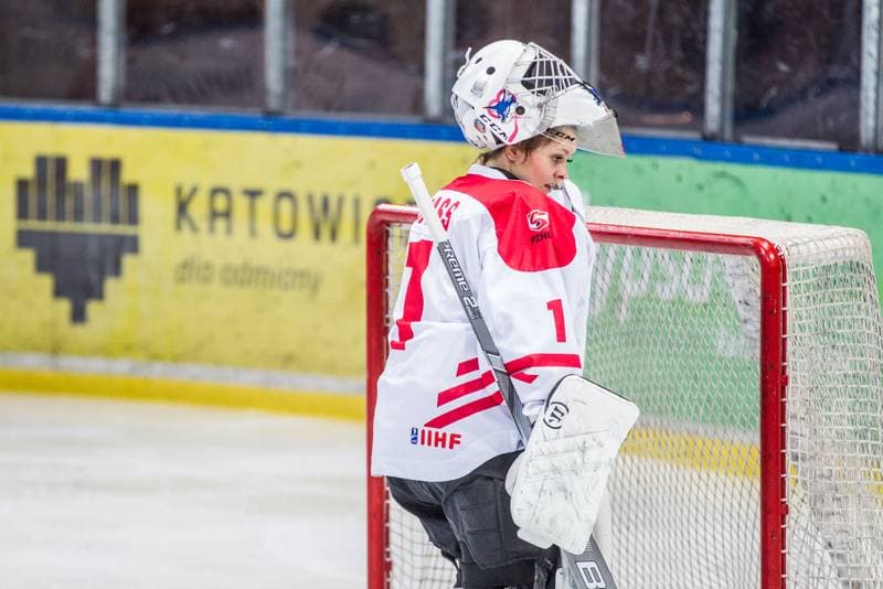 Ice Hockey. EWHL. Silesia Breckens - Hvidovre IK Selects. 30.11.2019