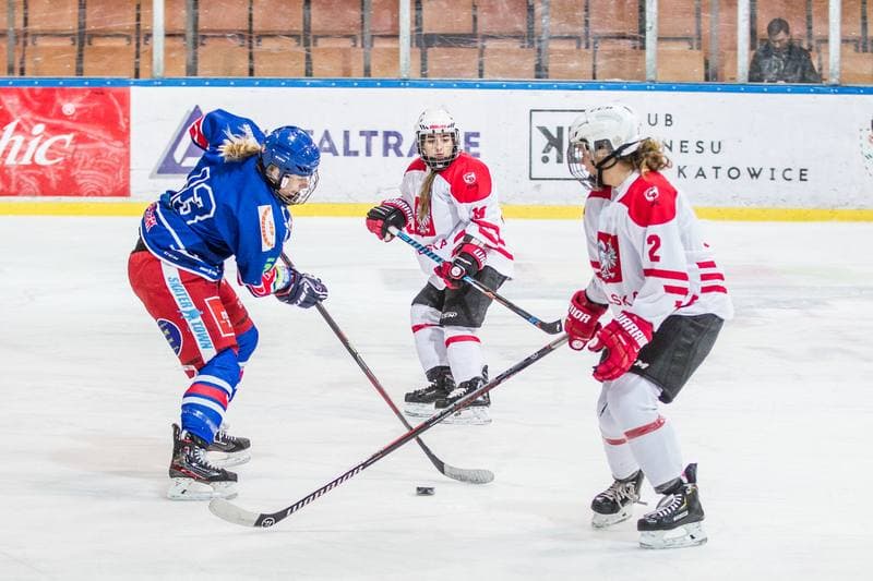 Ice Hockey. EWHL. Silesia Breckens - Hvidovre IK Selects. 30.11.2019