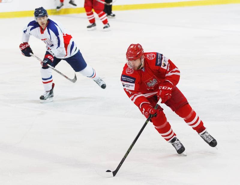 Ice Hockey. International Friendly Match. Poland - Korea. 16.04.2016