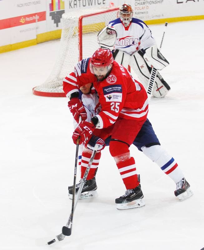 Ice Hockey. International Friendly Match. Poland - Korea. 16.04.2016