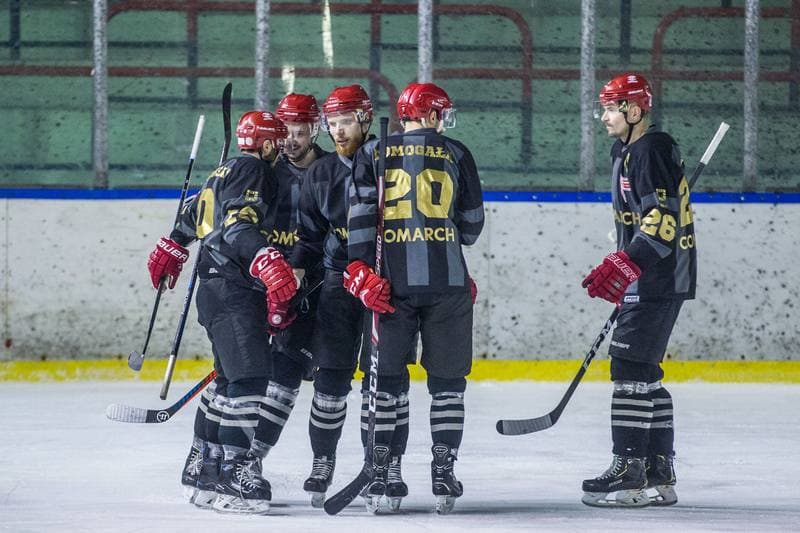 Ice Hockey. PHL. Zaglebie Sosnowiec - Comarch Cracovia. 31.01.2020
