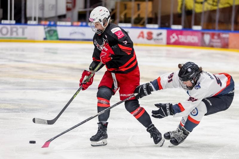 Ice Hockey. EWHL. Tauron Metropolia Silesia - Budapest Jegkorong Akademia. 21.10.2023