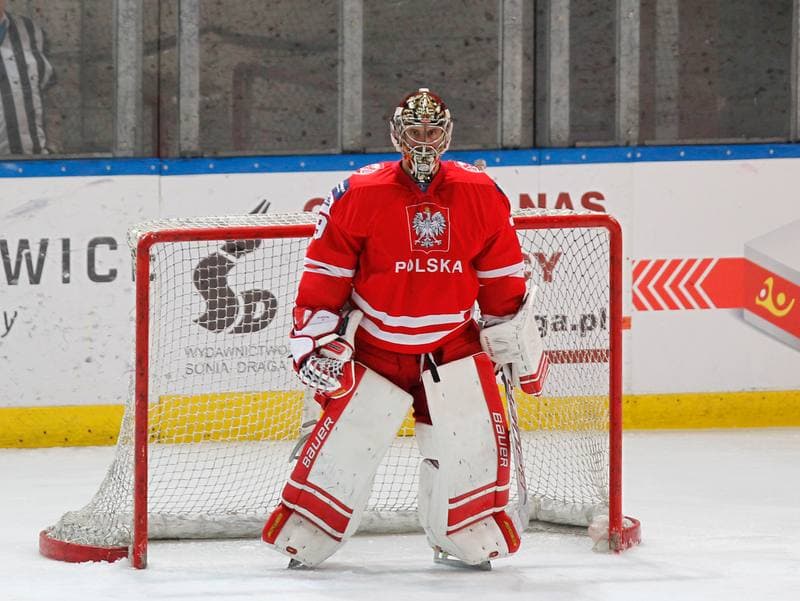 Ice Hockey. International Friendly Match. Poland - Korea. 16.04.2016