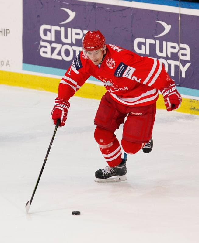 Ice Hockey. International Friendly Match. Poland - Korea. 16.04.2016