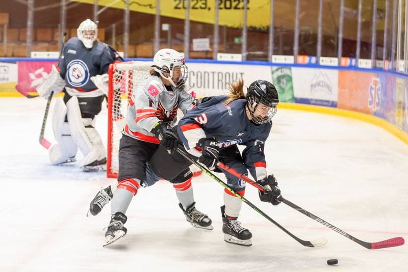 Ice Hockey. EWHL. Tauron Metropolia Silesia - Budapest Jegkorong Akademia. 22.10.2023