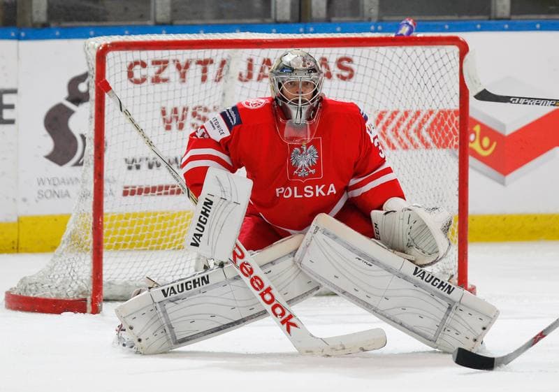 Ice Hockey. International Friendly Match. Poland - Korea. 16.04.2016