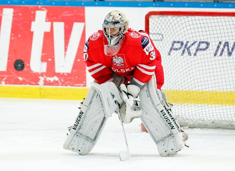 Ice Hockey. International Friendly Match. Poland - Korea. 16.04.2016
