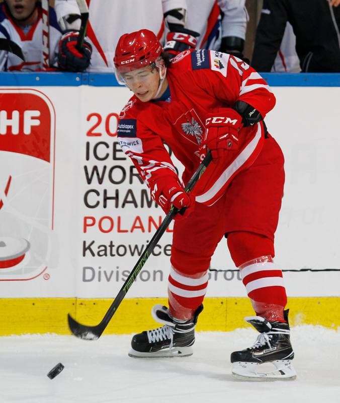Ice Hockey. International Friendly Match. Poland - Korea. 16.04.2016