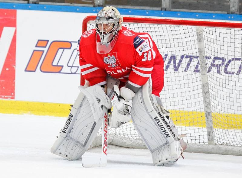 Ice Hockey. International Friendly Match. Poland - Korea. 16.04.2016