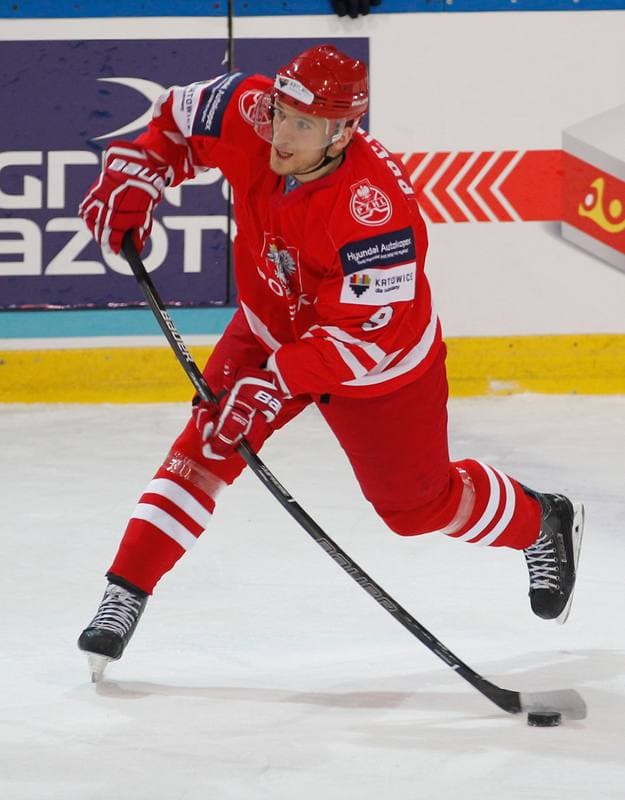 Ice Hockey. International Friendly Match. Poland - Korea. 16.04.2016