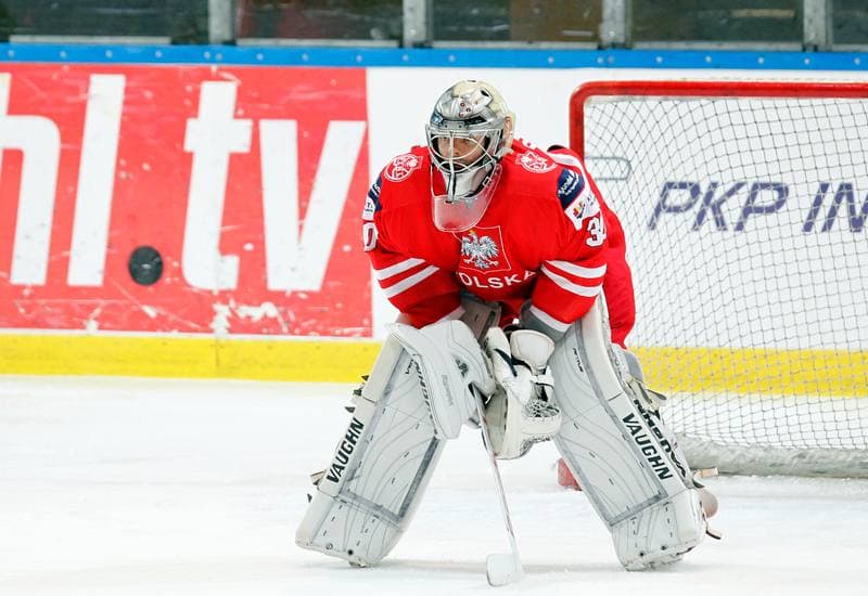 Ice Hockey. International Friendly Match. Poland - Korea. 16.04.2016