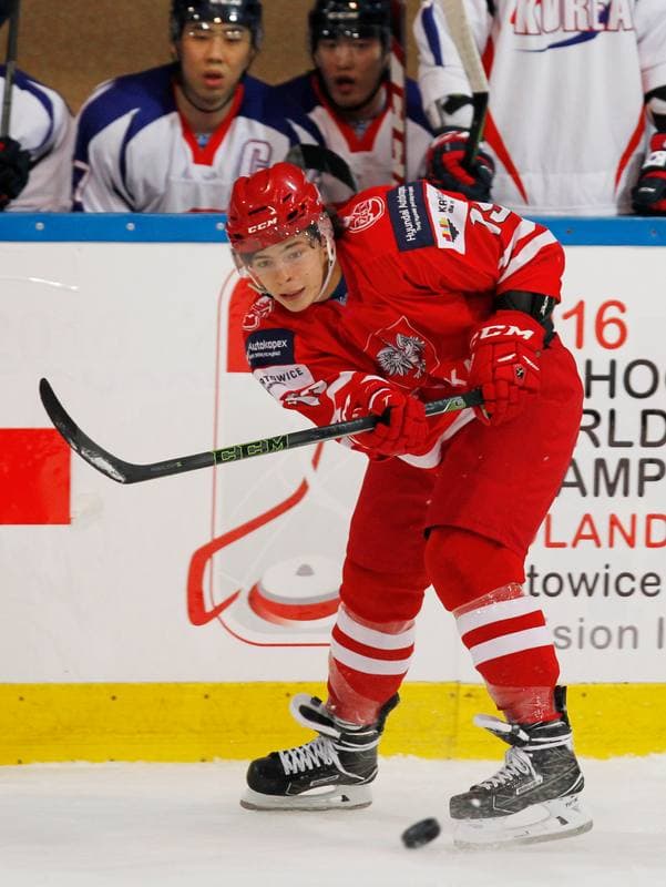 Ice Hockey. International Friendly Match. Poland - Korea. 16.04.2016