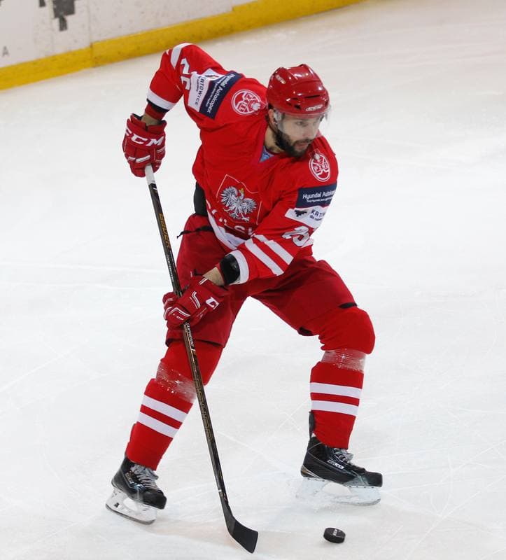 Ice Hockey. International Friendly Match. Poland - Korea. 16.04.2016