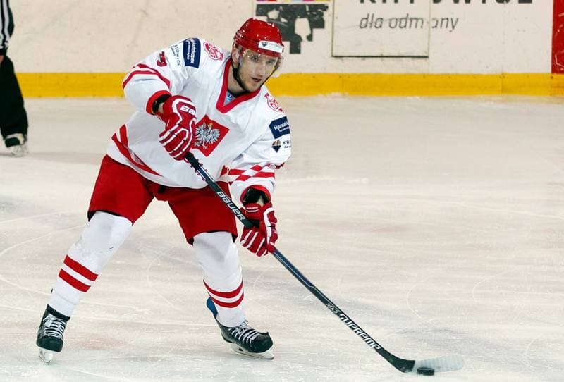 Ice Hockey. International Friendly Match. Poland - Lithuania. 14.04.2016