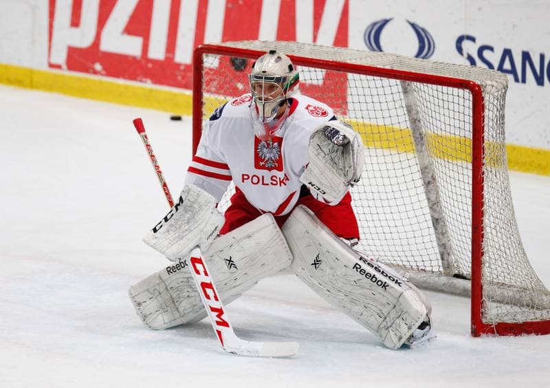 Ice Hockey. International Friendly Match. Poland - Lithuania. 14.04.2016