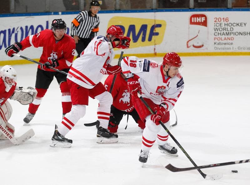 Ice Hockey. International Friendly Match. Poland - Lithuania. 14.04.2016