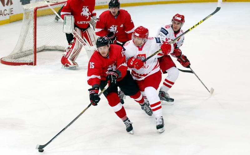 Ice Hockey. International Friendly Match. Poland - Lithuania. 14.04.2016