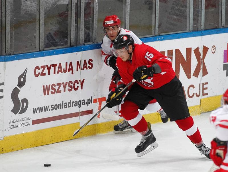 Ice Hockey. International Friendly Match. Poland - Lithuania. 14.04.2016