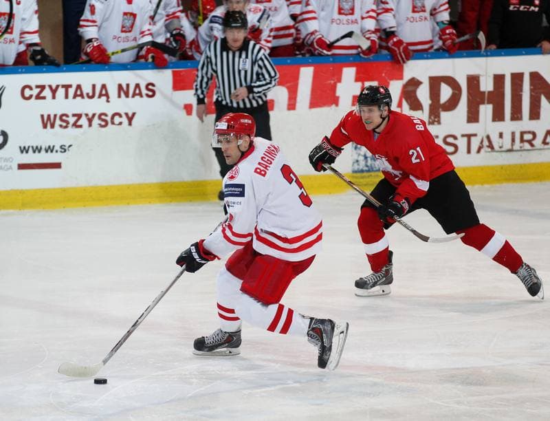 Ice Hockey. International Friendly Match. Poland - Lithuania. 14.04.2016