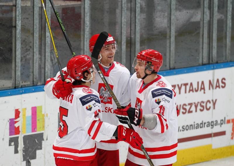 Ice Hockey. International Friendly Match. Poland - Lithuania. 14.04.2016