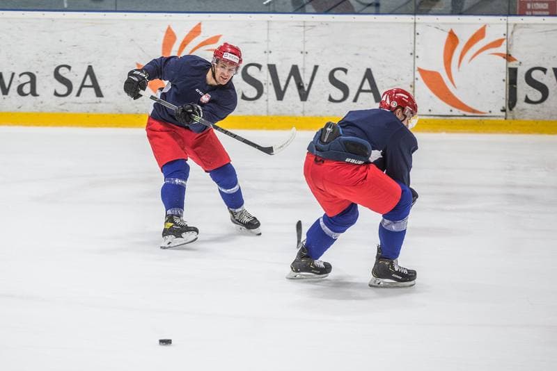 Ice Hockey. Poland national team. Training. 02.11.2020