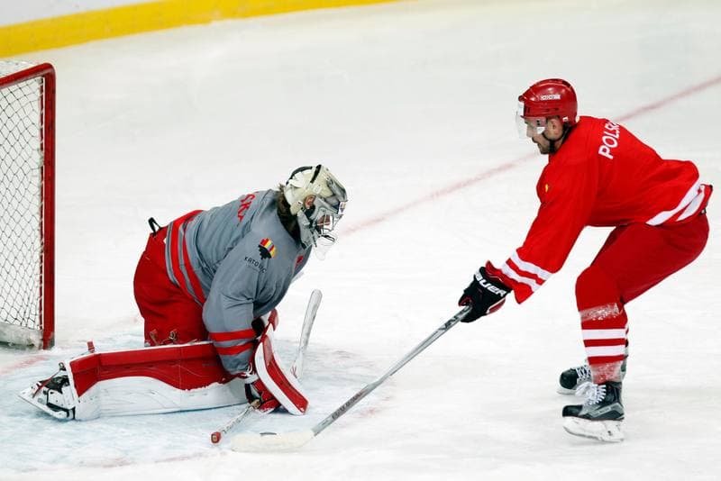 Ice Hockey. Poland national team. Training. 24.04.2016