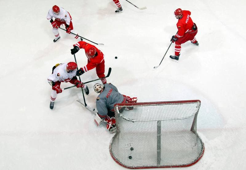 Ice Hockey. Poland national team. Training. 13.04.2016