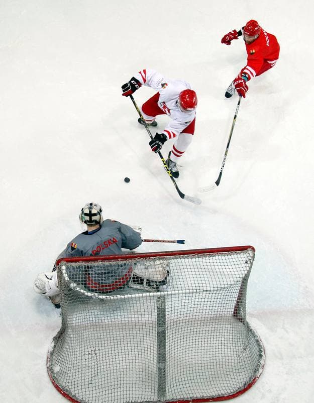 Ice Hockey. Poland national team. Training. 13.04.2016