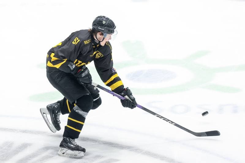 Ice Hockey. Tauron Hokej Liga. Zaglebie Sosnowiec - GKS Katowice. 03.11.2023