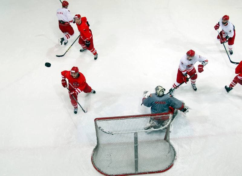 Ice Hockey. Poland national team. Training. 13.04.2016