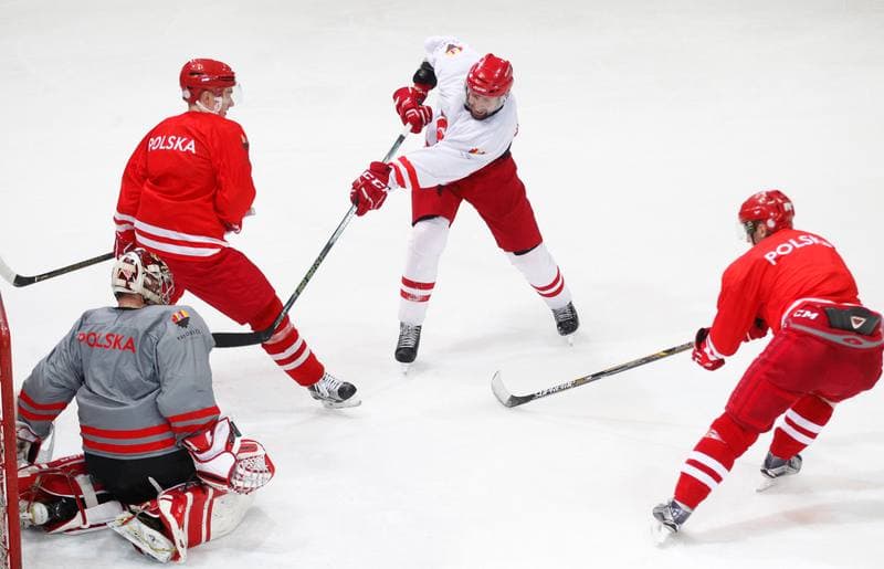 Ice Hockey. Poland national team. Training. 13.04.2016