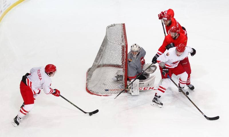 Ice Hockey. Poland national team. Training. 13.04.2016
