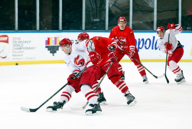 Ice Hockey. Poland national team. Training. 13.04.2016