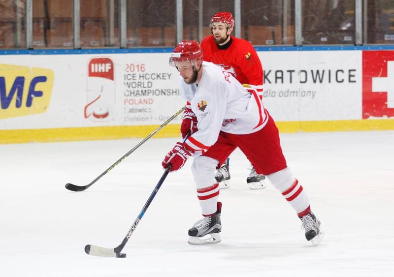 Ice Hockey. Poland national team. Training. 13.04.2016