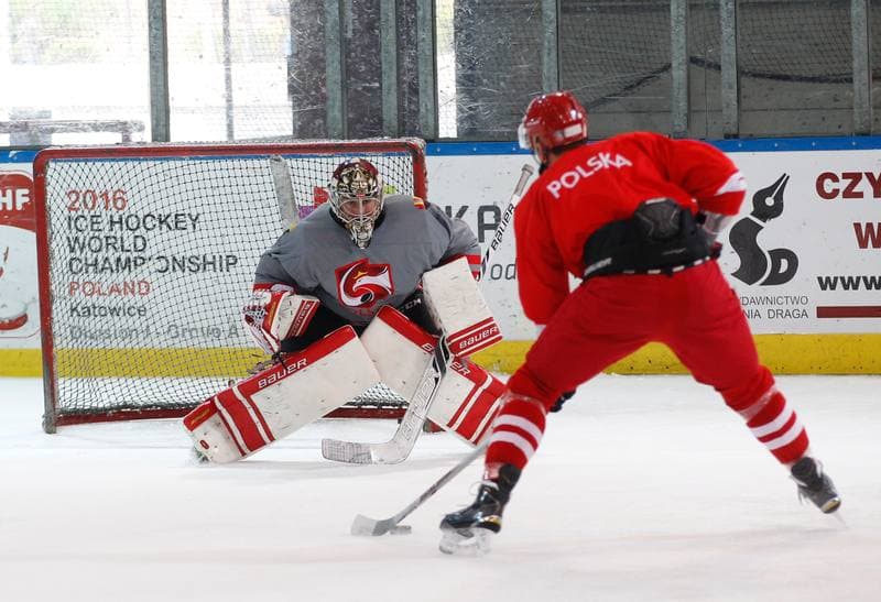 Ice Hockey. Poland national team. Training. 13.04.2016