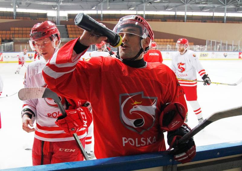 Ice Hockey. Poland national team. Training. 13.04.2016