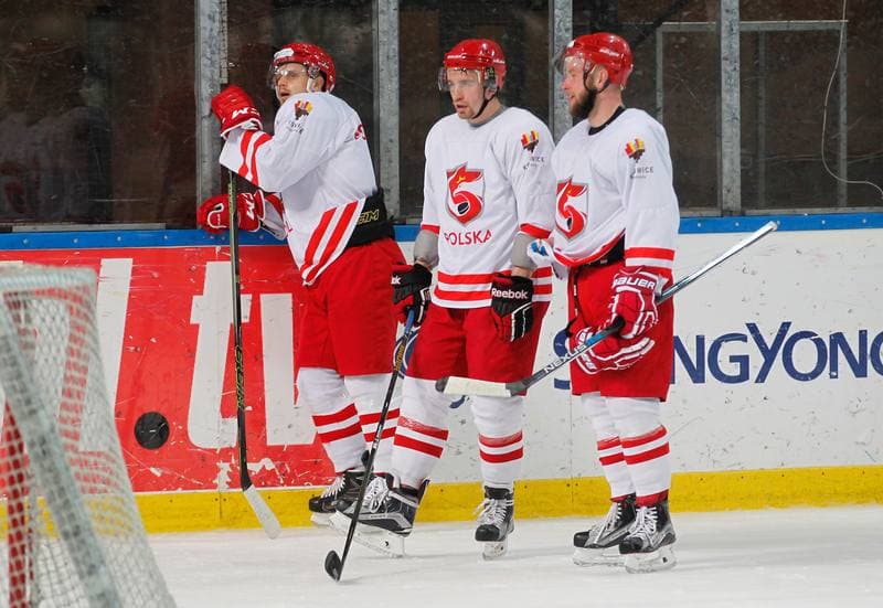 Ice Hockey. Poland national team. Training. 13.04.2016