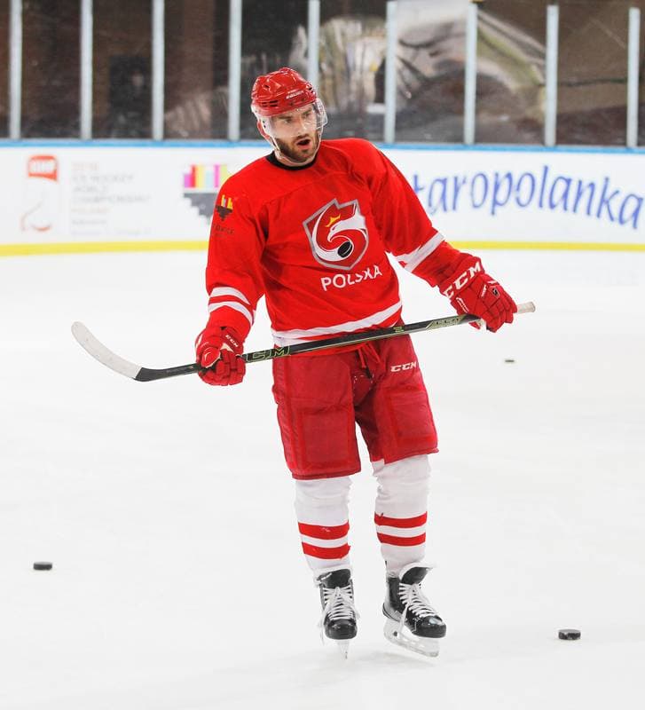 Ice Hockey. Poland national team. Training. 13.04.2016